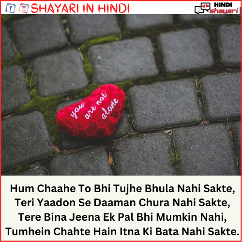 love shayari english mein