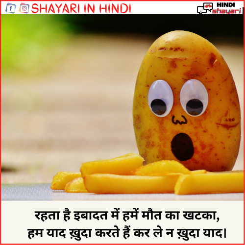 funny shayari – Love Hindi